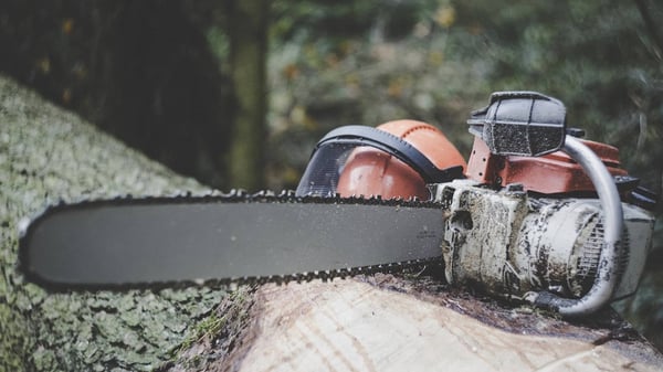 Festool power saw, chainsaw on top of a fallen tree trunk